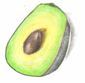 Avocado
