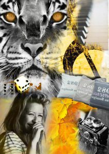 Moodboard studie
