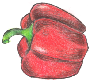 Paprika